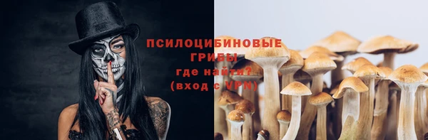 spice Балабаново