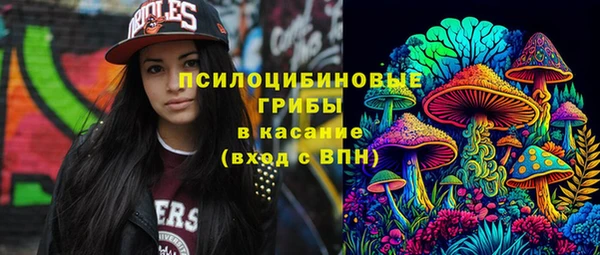 a pvp Баксан