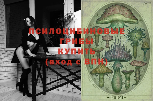 крисы Балахна