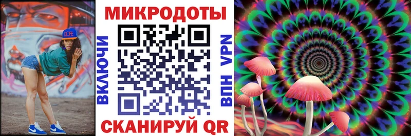 как найти   Северск  Псилоцибиновые грибы Psilocybine cubensis 